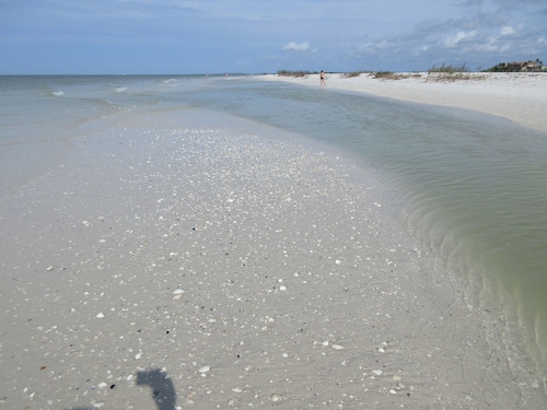 MARCO ISLAND - ONE BLOCK TO TIGERTAIL BEACH PARK. 5 BDRM/ 4 BATH, POOL, HOT TUB