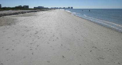 MARCO ISLAND - ON BLOCK TO TIGERTAIL BEACH PARK. 5 makuuhuonetta / 4 täyttä kylpyhuonetta, uima-allas
