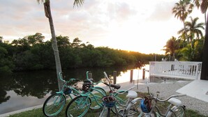 Bicycles parked by a waterfront with a dock and palm trees in the background.