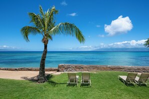 A beach with a palm tree, a stone wall, and three lounge chairs facing the ocean.