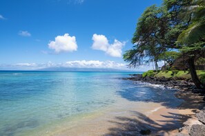 A beach with clear water, a rocky shoreline, and a tree-lined path.