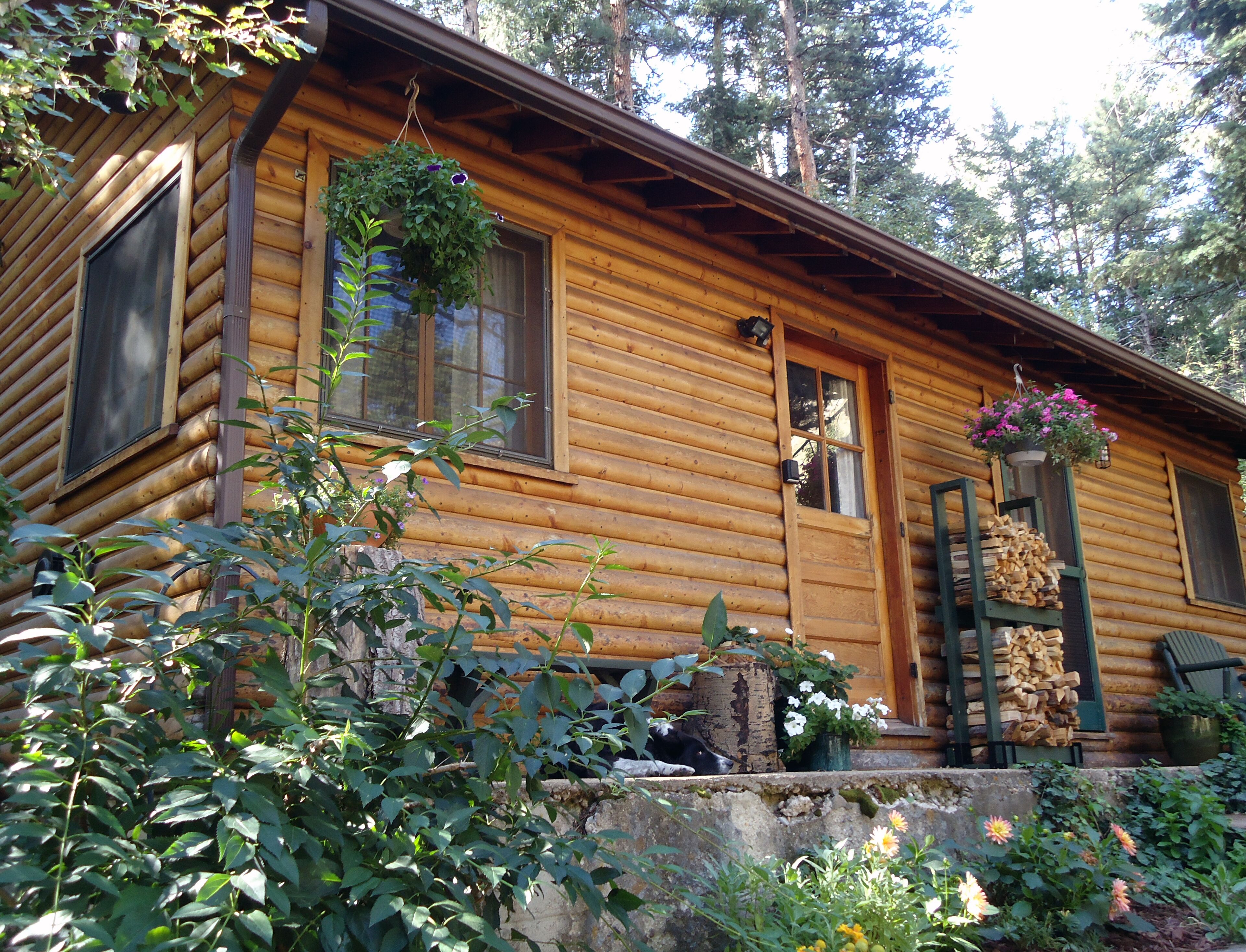 Canyon escape - cabin studio along Boulder Creek with complete kitchen #2