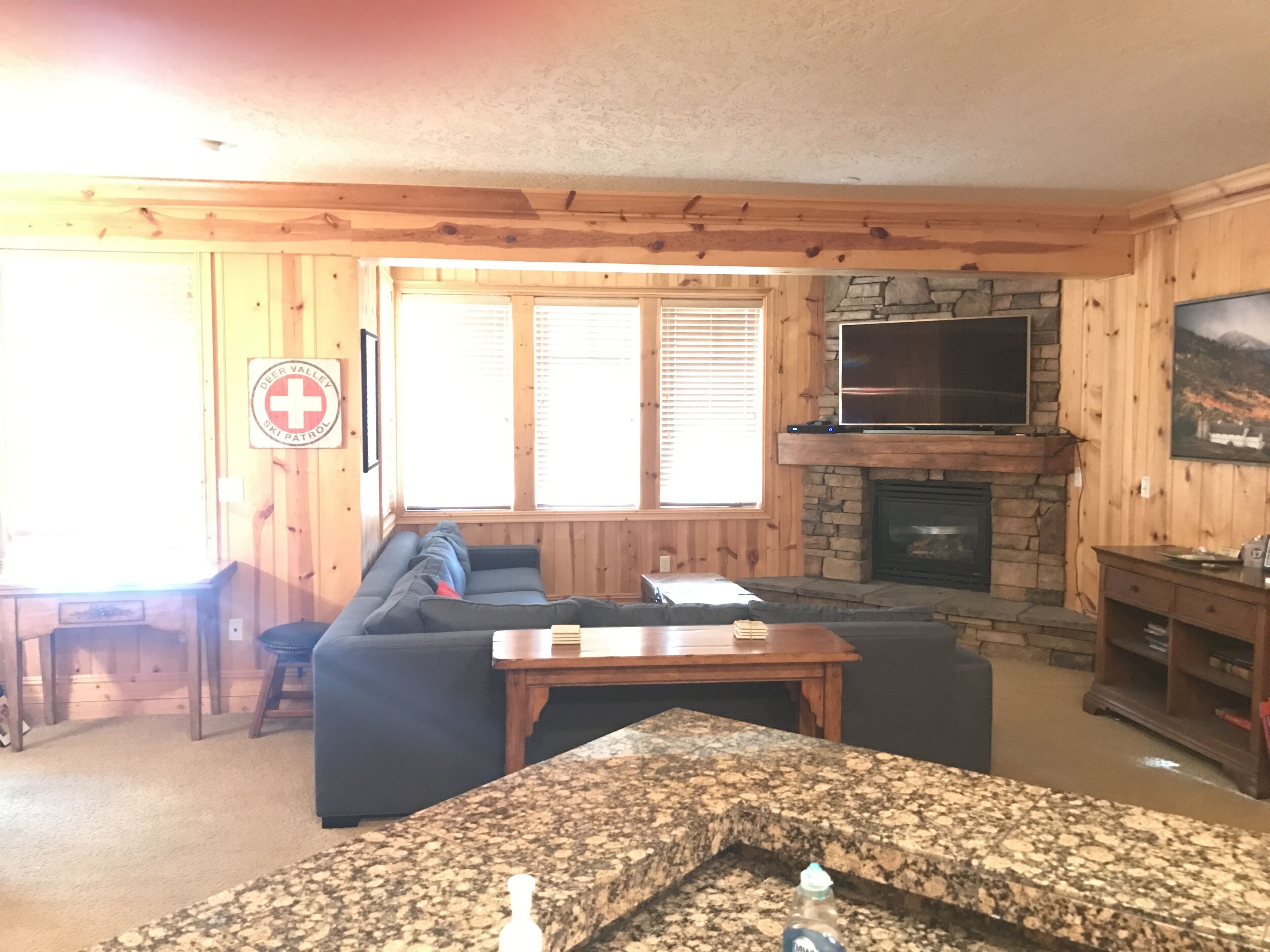 Smart TV, fireplace, books