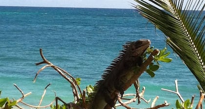 Toe's in the Sand-2 bed / 2 bath seaside condo - beach and pool.