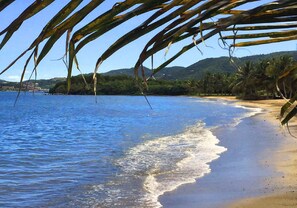 On the beach, sun loungers, beach towels - Toe's in the Sand-2 bed / 2 bath seaside condo - beach and pool. (Christiansted)