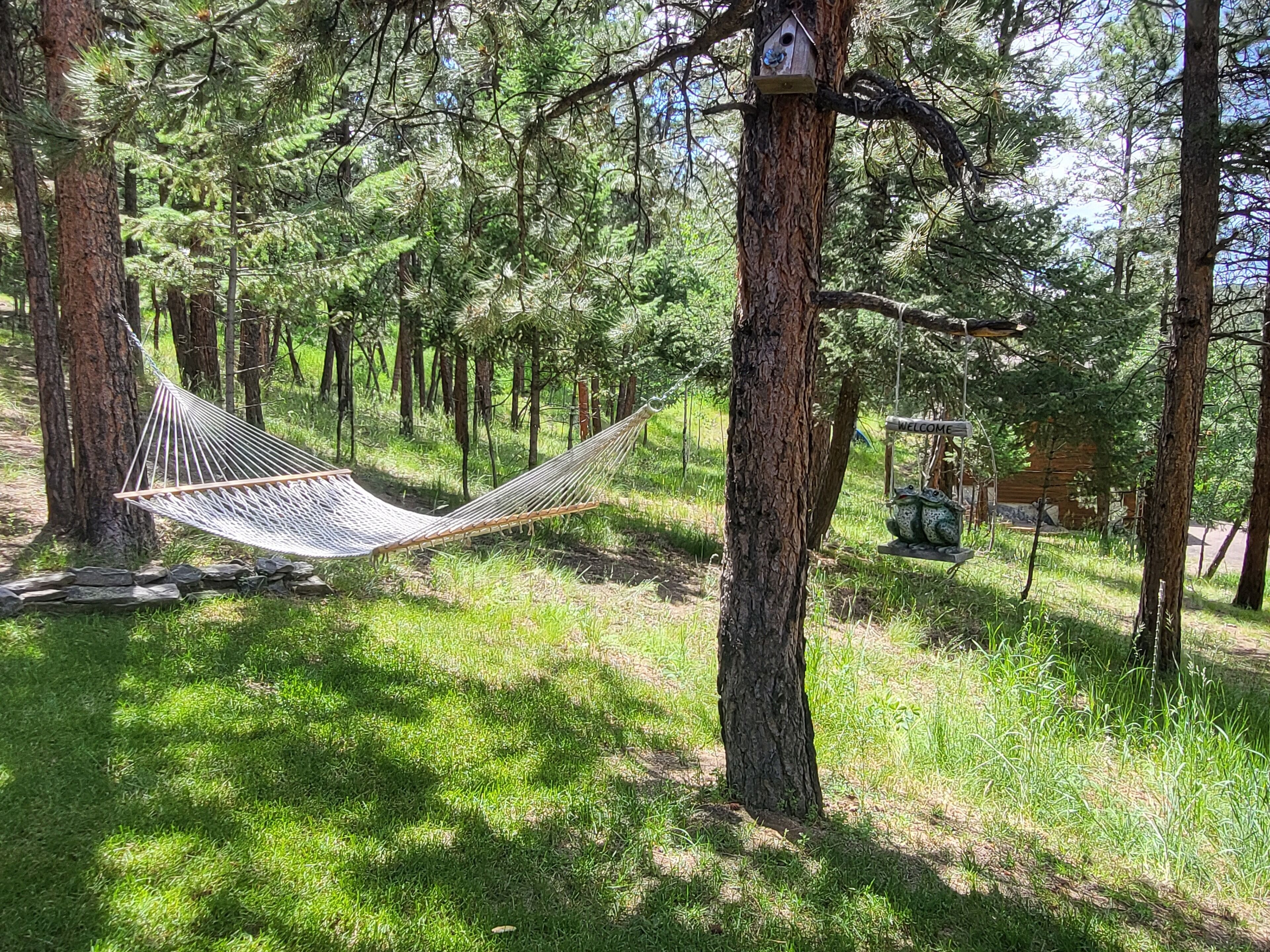 A hammock between trees in a forested area with a birdhouse and a welcome sign.