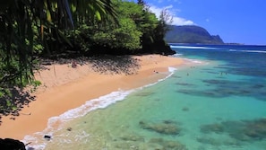 Una playa con aguas turquesas cristalinas, una orilla arenosa y abundante vegetación.