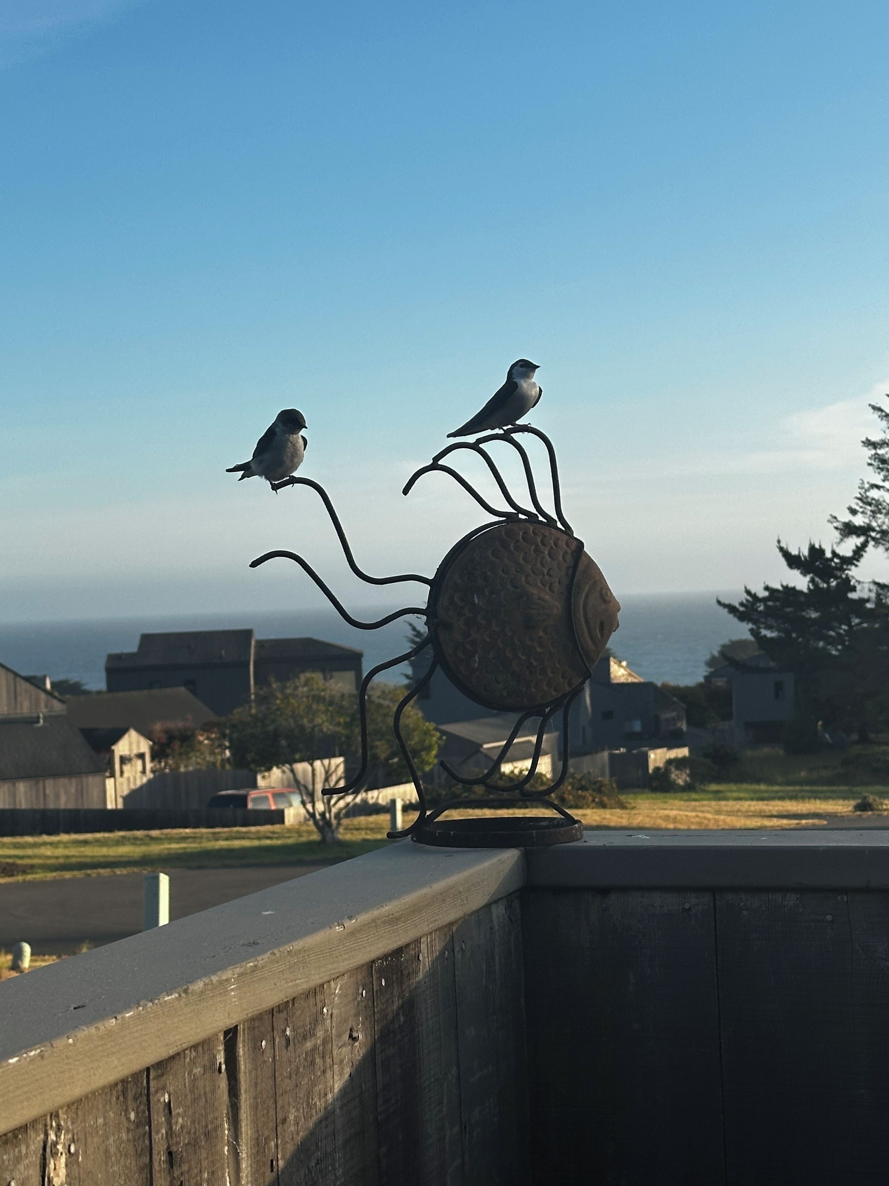 A metal sculpture of two birds perched on a circular base with a view of houses and a clear sky in the background.