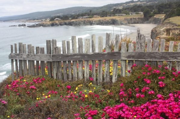 Beach nearby - Abalone Point: Oceanside Panoramic View Home (Sea Ranch)