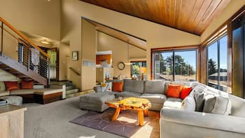 Smart TV, chimenea, reproductor de DVD, libros