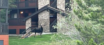 Booking for Fall, off season rates and autumn tree splendor