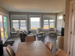 Smart TV, fireplace, books