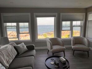 Smart TV, fireplace, books