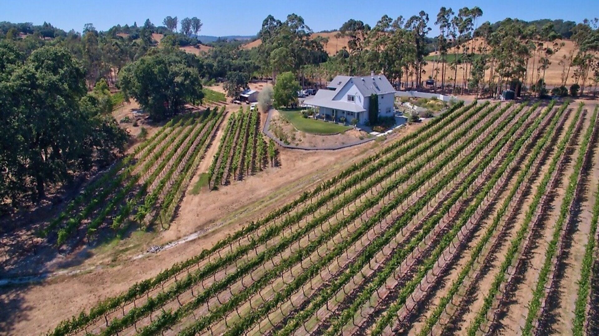 Estate House overlooking cult Russian River Vineyard!•LABOR DAY SALE!•
