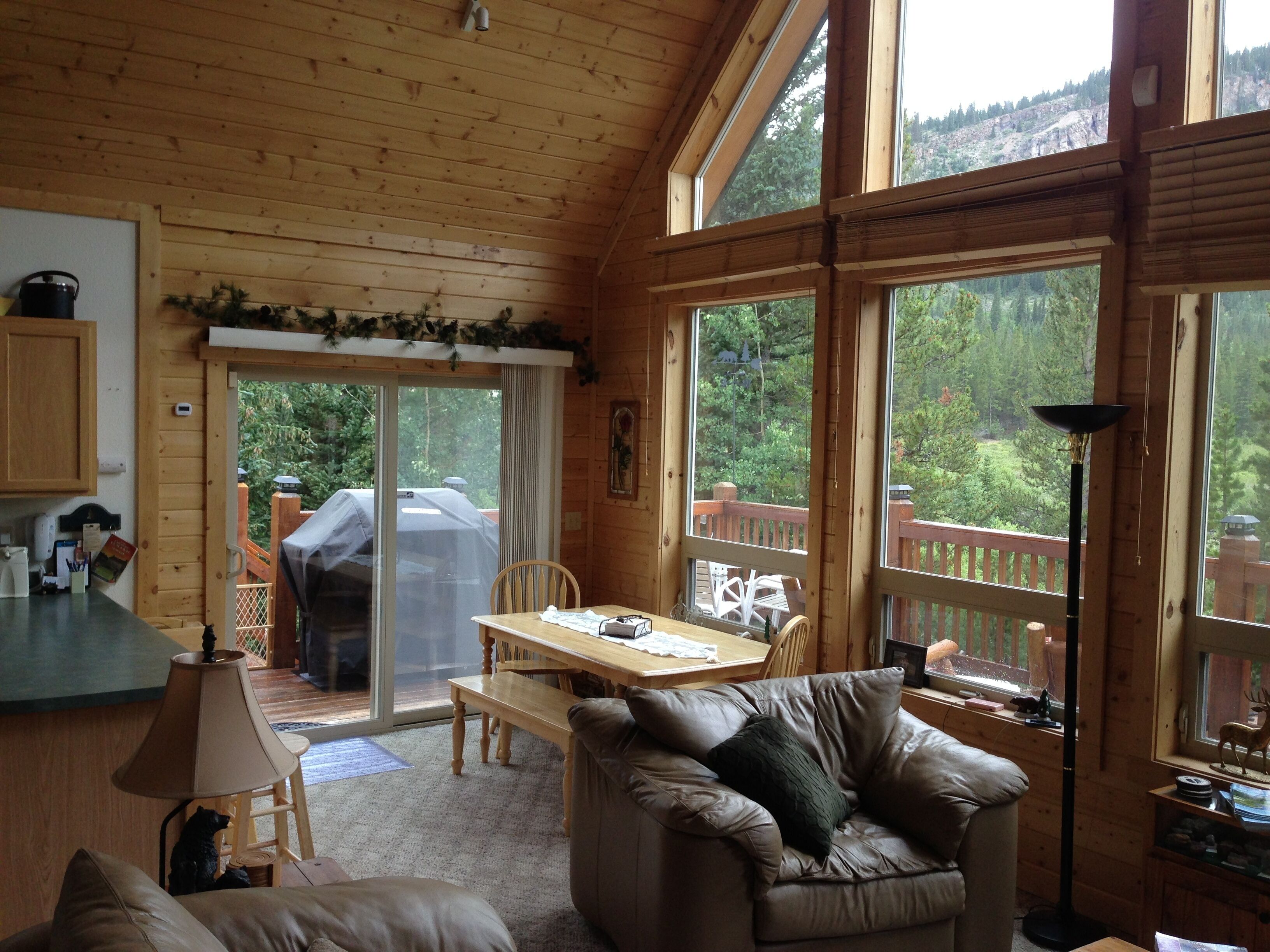 Smart TV, fireplace, DVD player, books