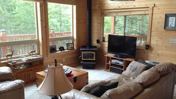 Smart TV, fireplace, DVD player, books