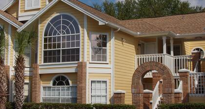 Look at This! Fun in the Sun for Everyone!