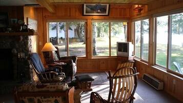 Smart TV, chimenea, reproductor de DVD y estéreo