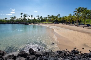 Enjoy a tranquil beach experience with turquoise waters, lush palm trees, and soft sand.