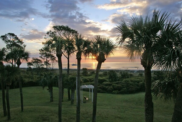 A grassy area with palm trees and a gazebo.