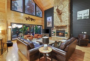 TV connectée, cheminée, lecteur de DVD, livres