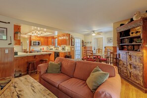 Smart TV, fireplace, DVD player, books