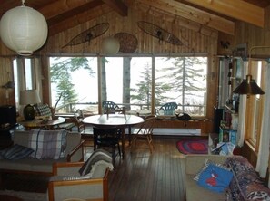 TV connectée, cheminée, lecteur de DVD, livres