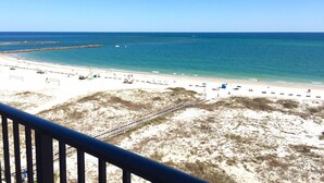 A beach with a clear view of the ocean and a sandy area with sparse vegetation.