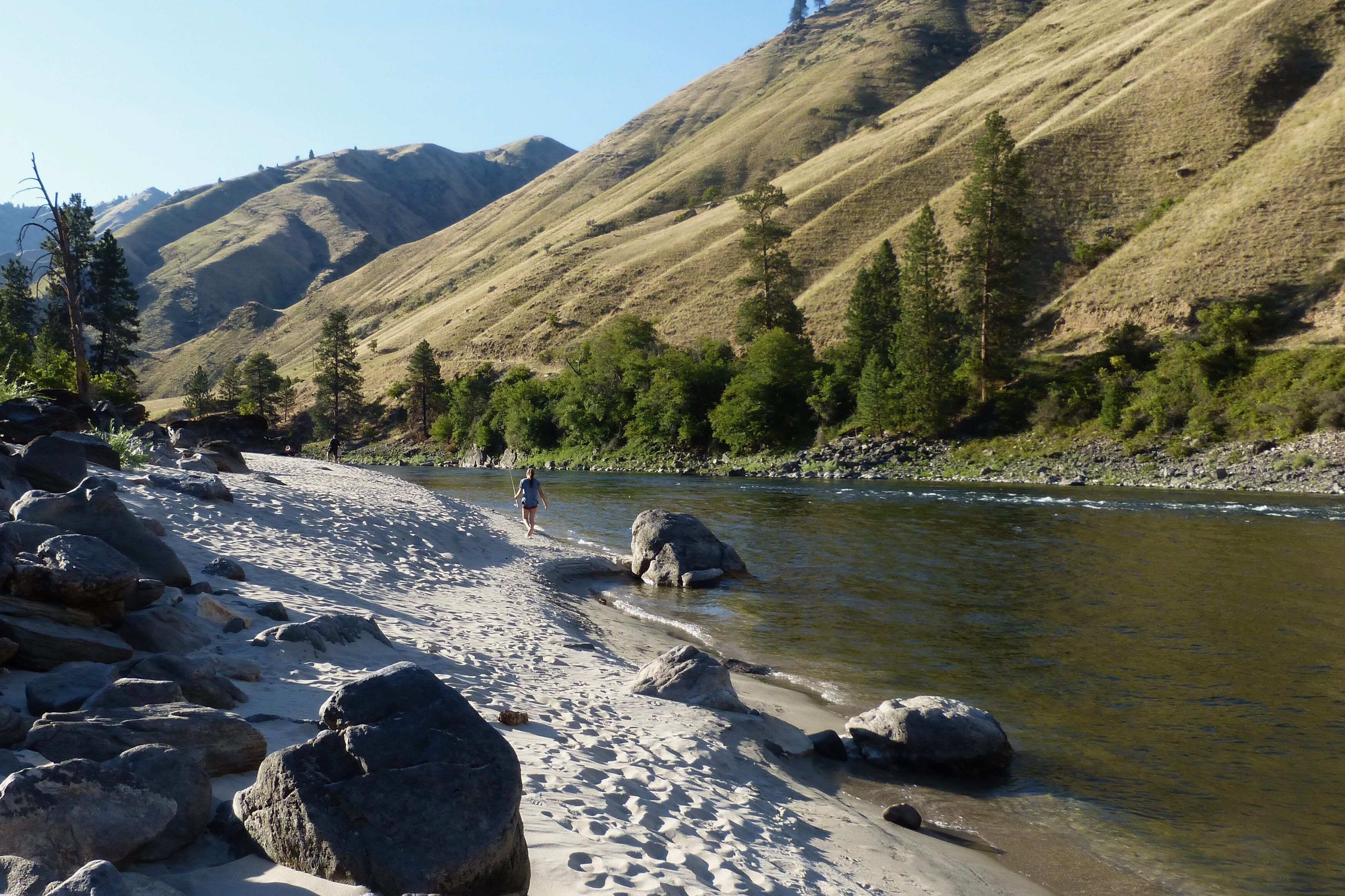 Plage, chaises longues