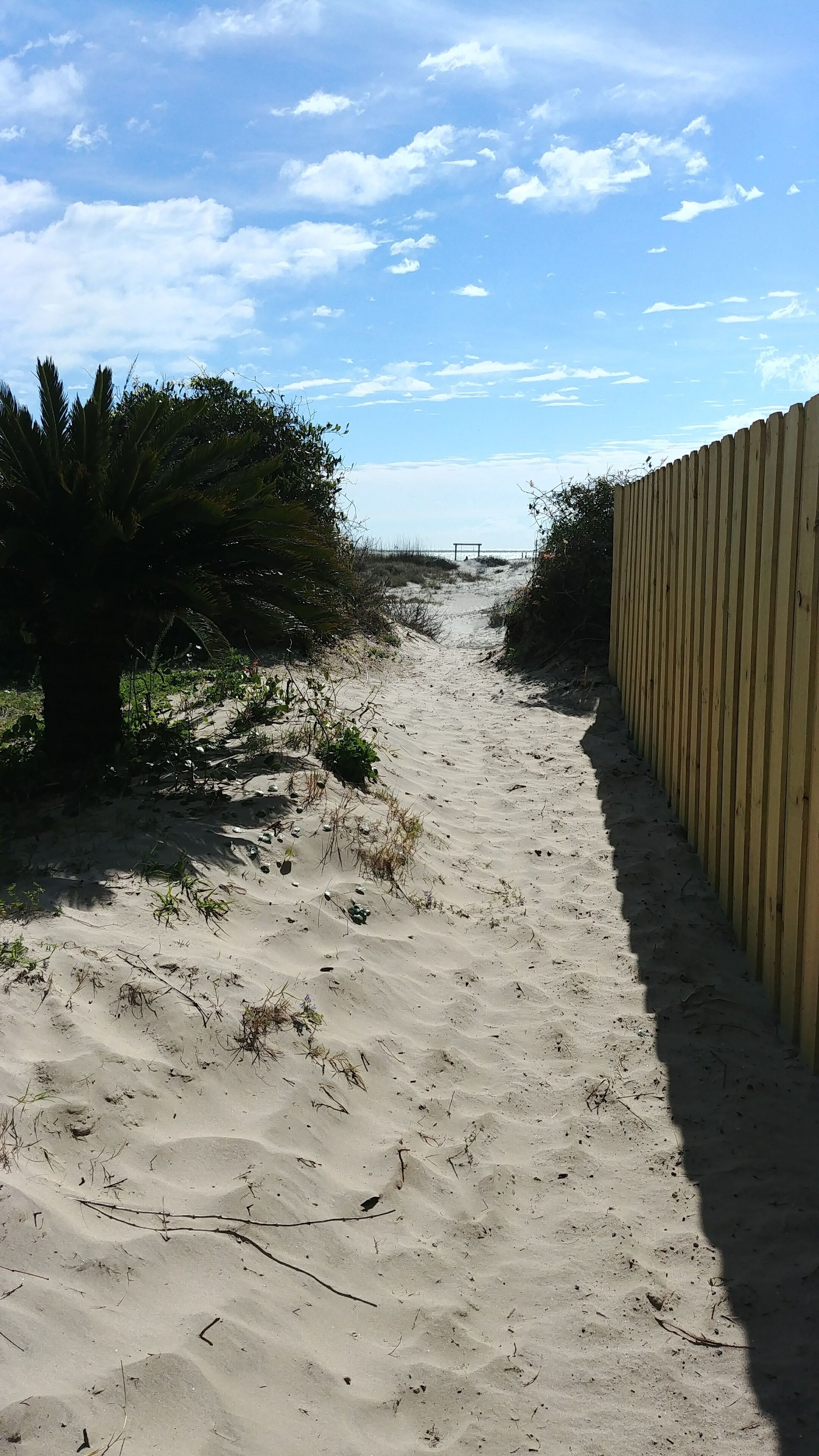 10 Best Vacation Rentals On The Beach In USA Updated 2024