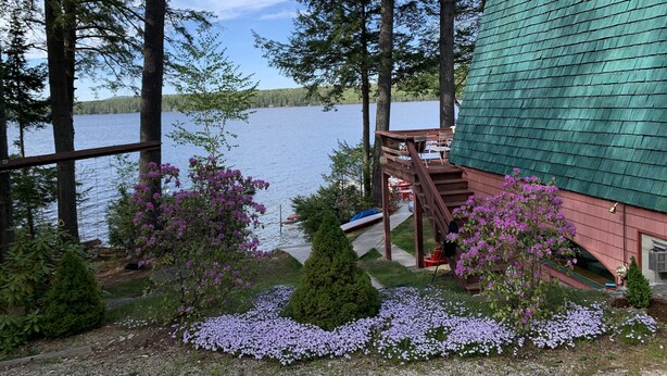 Eine Holzhütte am Seeufer mit einer Terrasse und Sitzgelegenheit im Freien, umgeben von Bäumen und violetten Blumen.