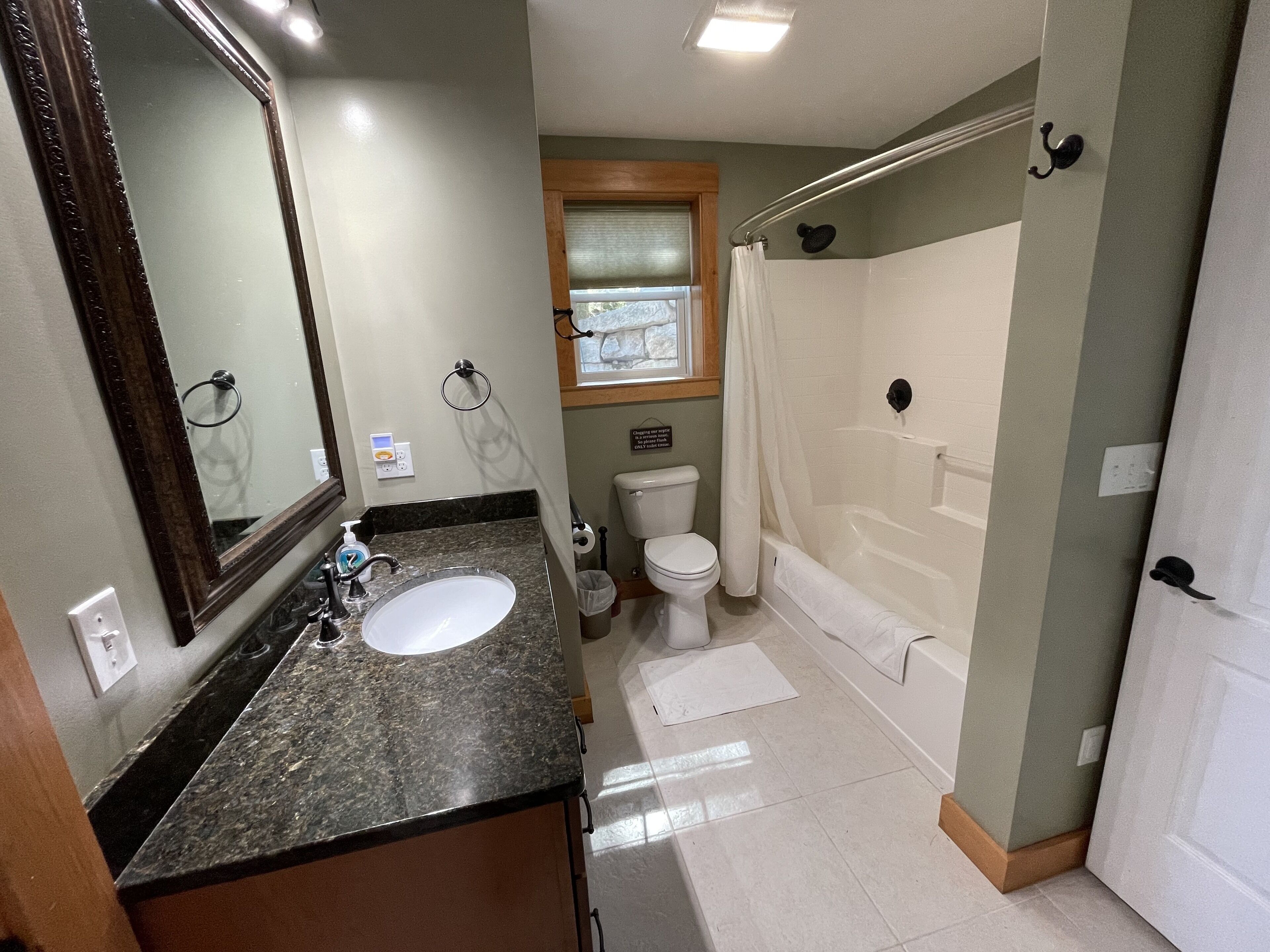 Combined shower/tub, hair dryer