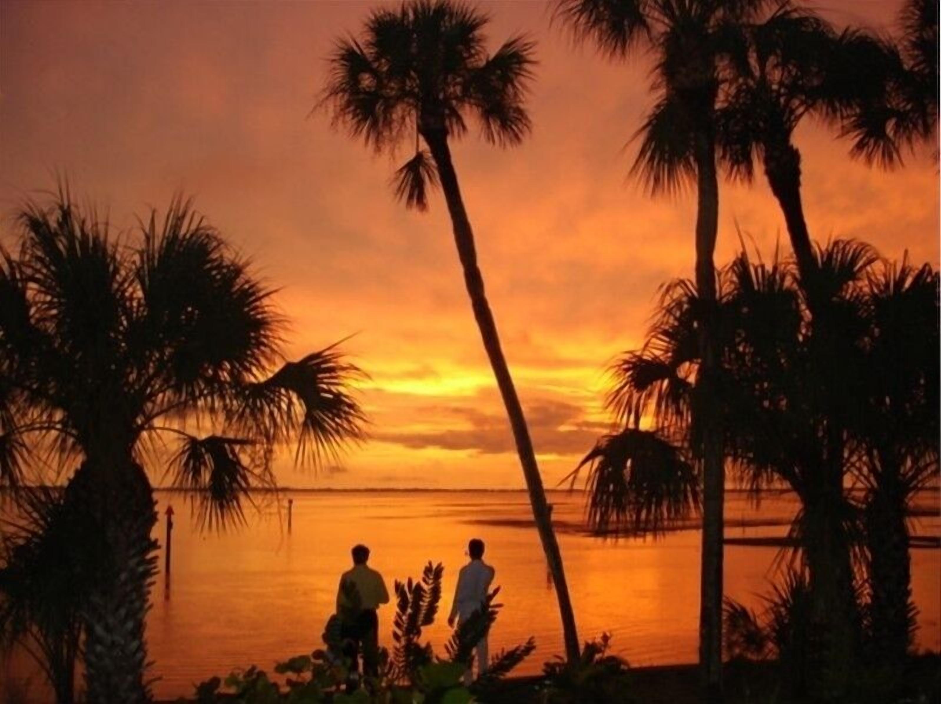 A sunset view with palm trees and two people standing by the water.
