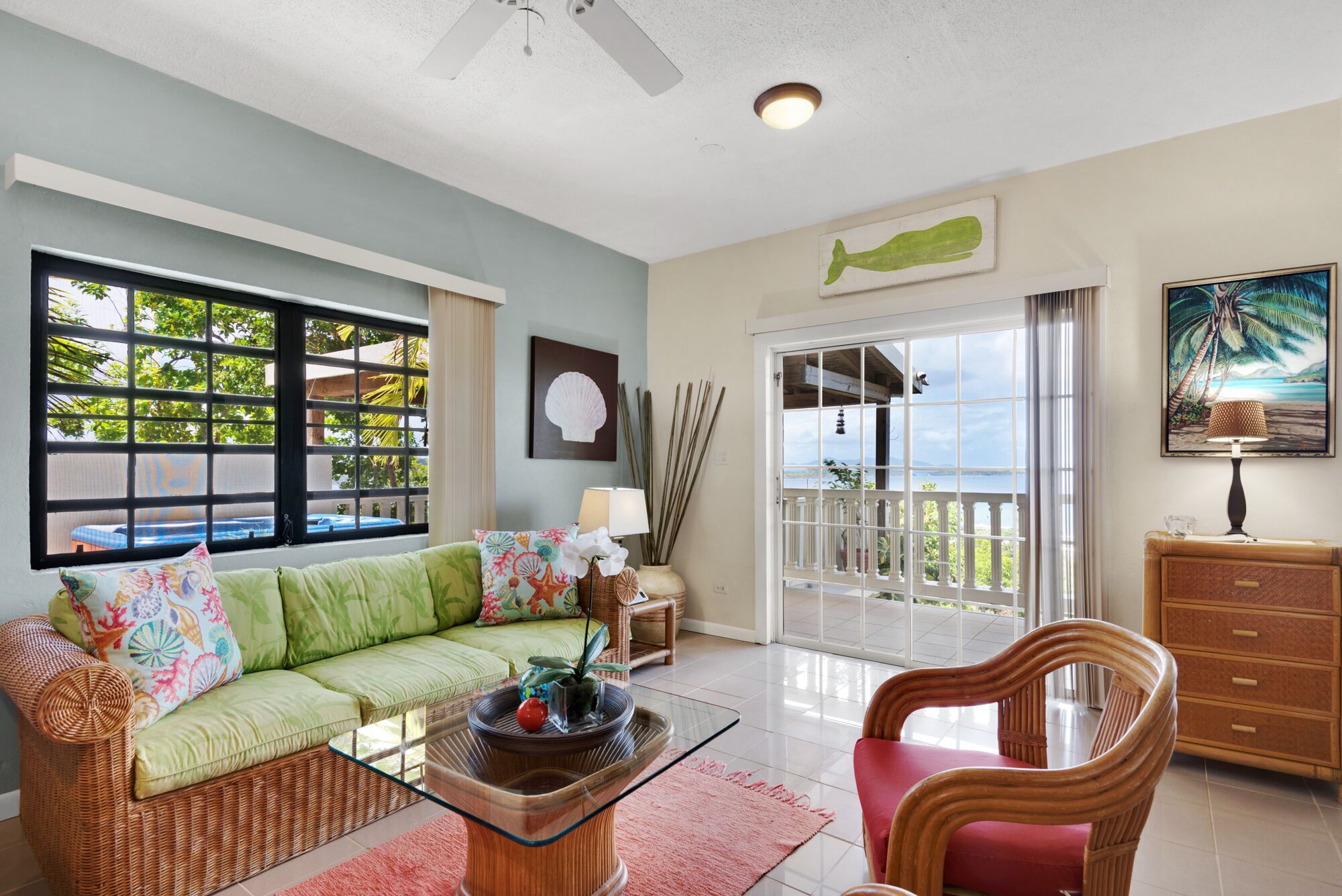 Smart TV, DVD player, books