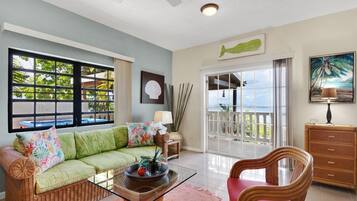 Smart TV, DVD player, books