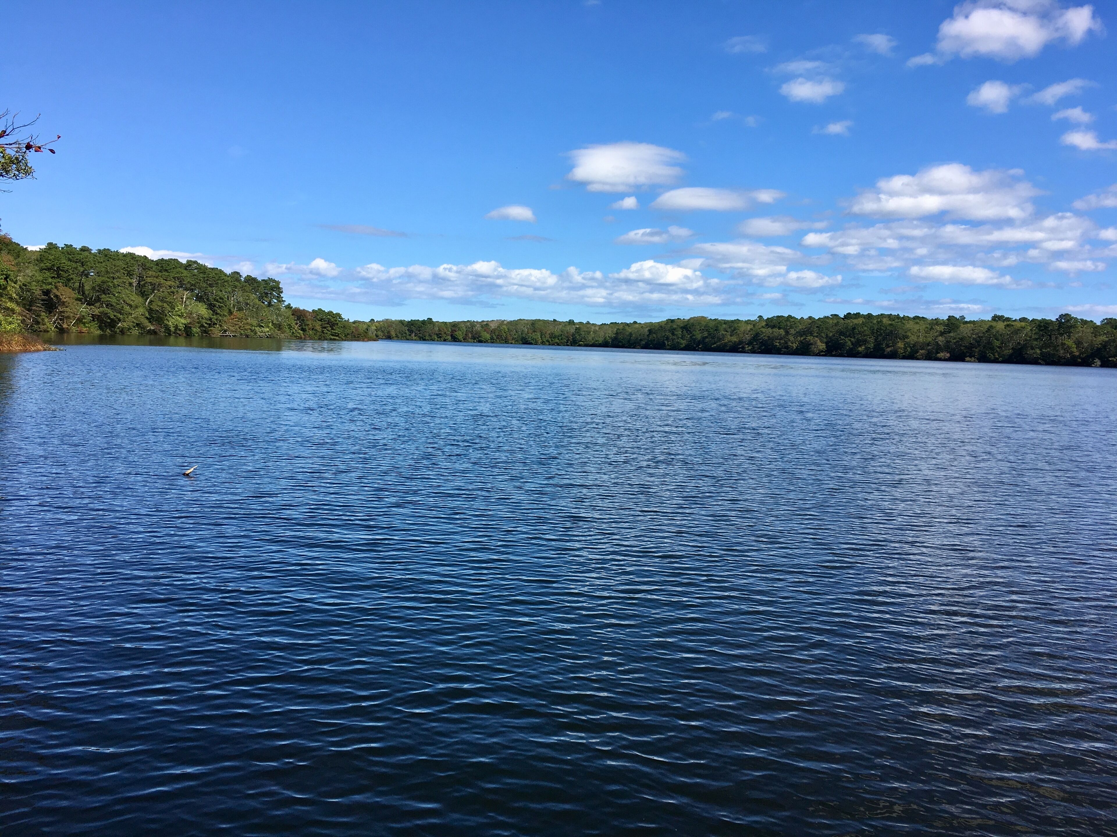 Renovated, Spotless, Pond Front w/ Kayaks ~ Minutes to Brewster & Dennis Beaches