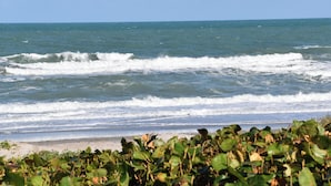 Una playa con olas y follaje en primer plano.