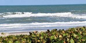 Private beach, sun-loungers, beach towels - FABULOUS DIRECT BEACHFRONT PRISTINE, PET FRIENDLY, 3 BEDROOM TOWNHOUSE (Indialantic)