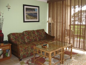 Smart TV, DVD player, books, stereo - Spectacular Ocean Maui Sunset View (Kihei)