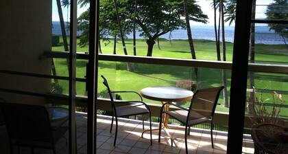 Spectacular Ocean Maui Sunset View