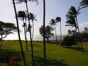 View from Lanai