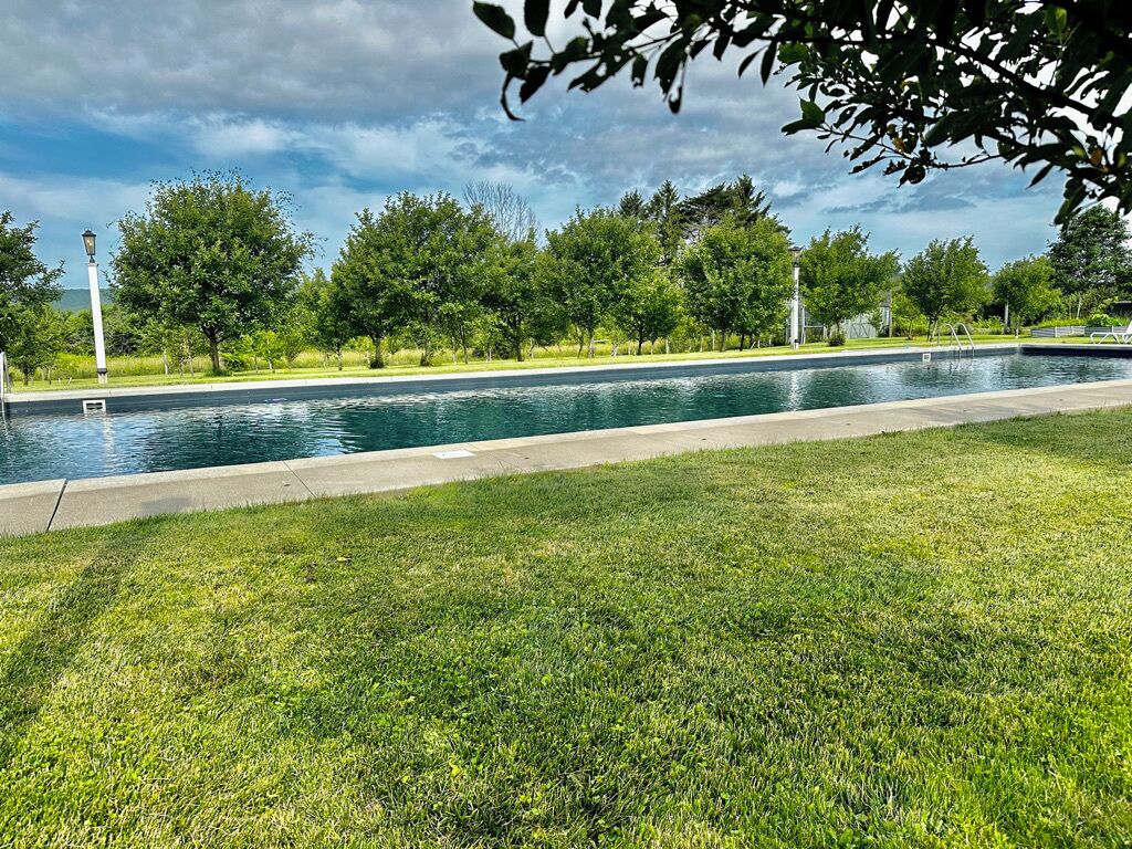 A swimming pool with a grassy area in front, surrounded by trees and a lamp post.