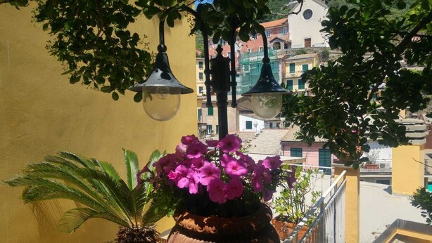 Ein Balkon mit einer gelben Wand, einem Blumentopf mit rosa Blüten und schwarzen Hängeleuchten.