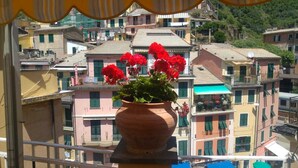 Ein Terrakottatopf mit roten Blüten auf einem Balkon mit Blick auf bunte Gebäude.