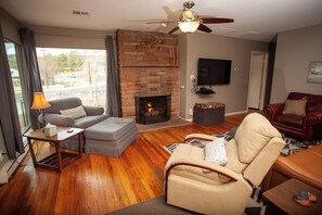 TV, fireplace, DVD player, books