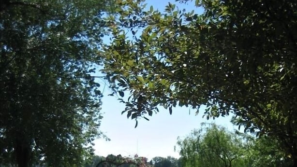 Una mesa de picnic y sillas en un área verde con vista al lago.