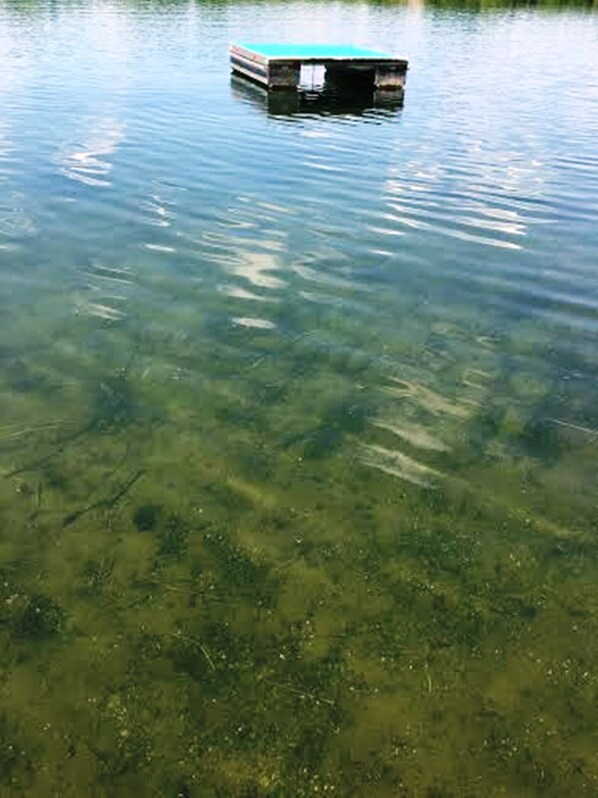 A floating platform in clear water. - Log Cabin, Lake Retreat (New Richmond)