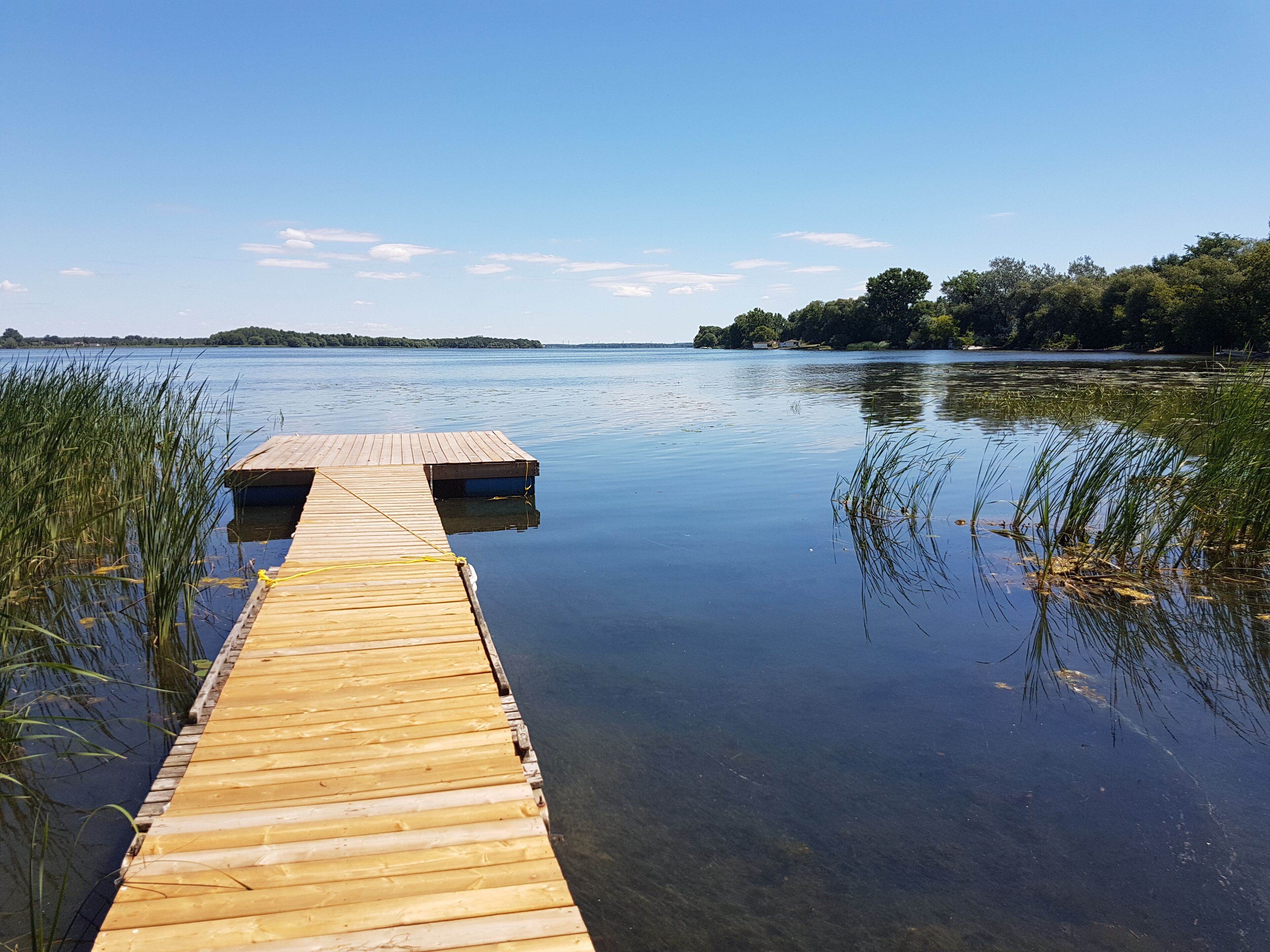 Top 6 Fishing Lodges Near Bay of Quinte, Canada Updated 2024 Trip101