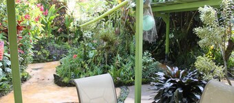 Rain Forest Apartment!
