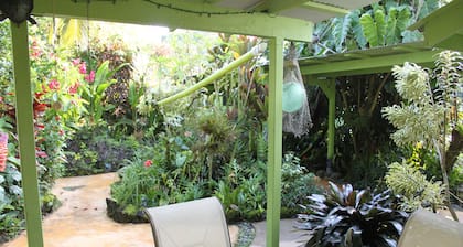 Rain Forest Appartement!